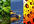 do voice over with special effects like in the Jungle etc