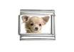 put your photo on a nine millimetre Italian Charm Link to replace other stainless steel ones on your Italian Charm bracelet or watch band