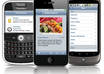 optimize your wordpress blog for mobile devices PROFESSIONALLY within 24 hours