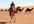 add your travel blog and feed to my RSS directory