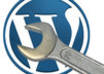 customize your wordpress theme per needs