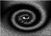 give you a 20 minute Tarot card reading online or by phone.  I have read cards professionally for over 25 years and I am a Third Degree High Priestess in Eclectic Wicca.
