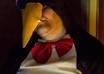 do a video testimonial dressed as a penguin