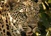 give you 7 must DOs on your trip to South Africa small1