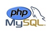 Wp site dev good
