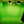 greenscreen