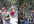 transform your pictures to this beautiful effect