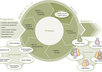 draw, design any type of diagram for your projects see details for types of diagrams