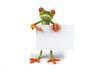 make a Frog talk and say anything you want it to small1