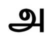 teach worlds oldest living language TAMIL