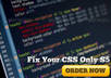 fix any CSS errors,css bugs on your site