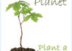 plant a tree and engrave your name on it