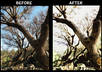 make up to 5 ordinary photographs look as professional as possible small1