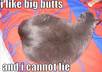 karaoke Rap Baby Got Back with your name