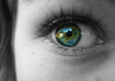 edit, process and/or modify your picture, photo, image
