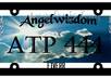 tell you what your licence plate number means